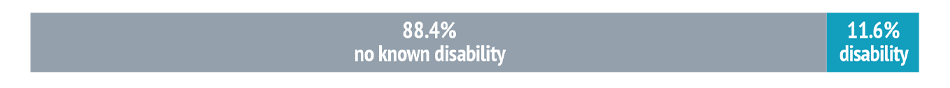 Bar chart showing: 88.4% no known disability and 11.6% disability.