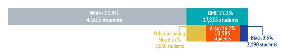 Bar chart showing: White 72.8% 47,655 students,  BME 27.2% 17,835 students made up from Asian 16.2% 10,585 students, Other including Mixed 7.7% 5,060 students and Black 3.3% 2,190 students.