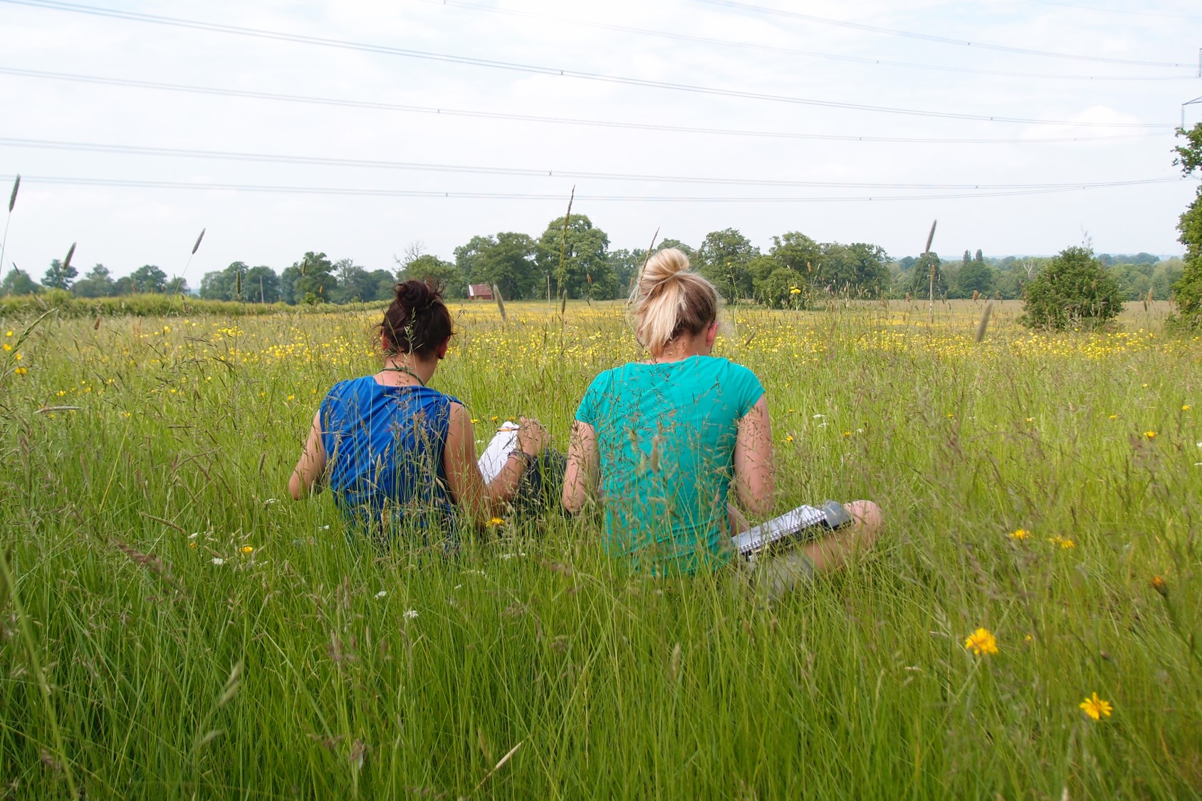 Two students sitting working in a meadow with their backs to the camera 