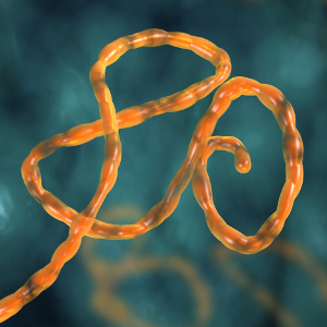 Clinical trial for experimental Ebola drug publishes results