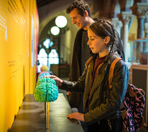 Oxford University gears up for Brain Discovery Festival