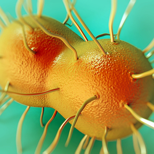 Gene sequencing offers way to beat global spread of gonorrhoea