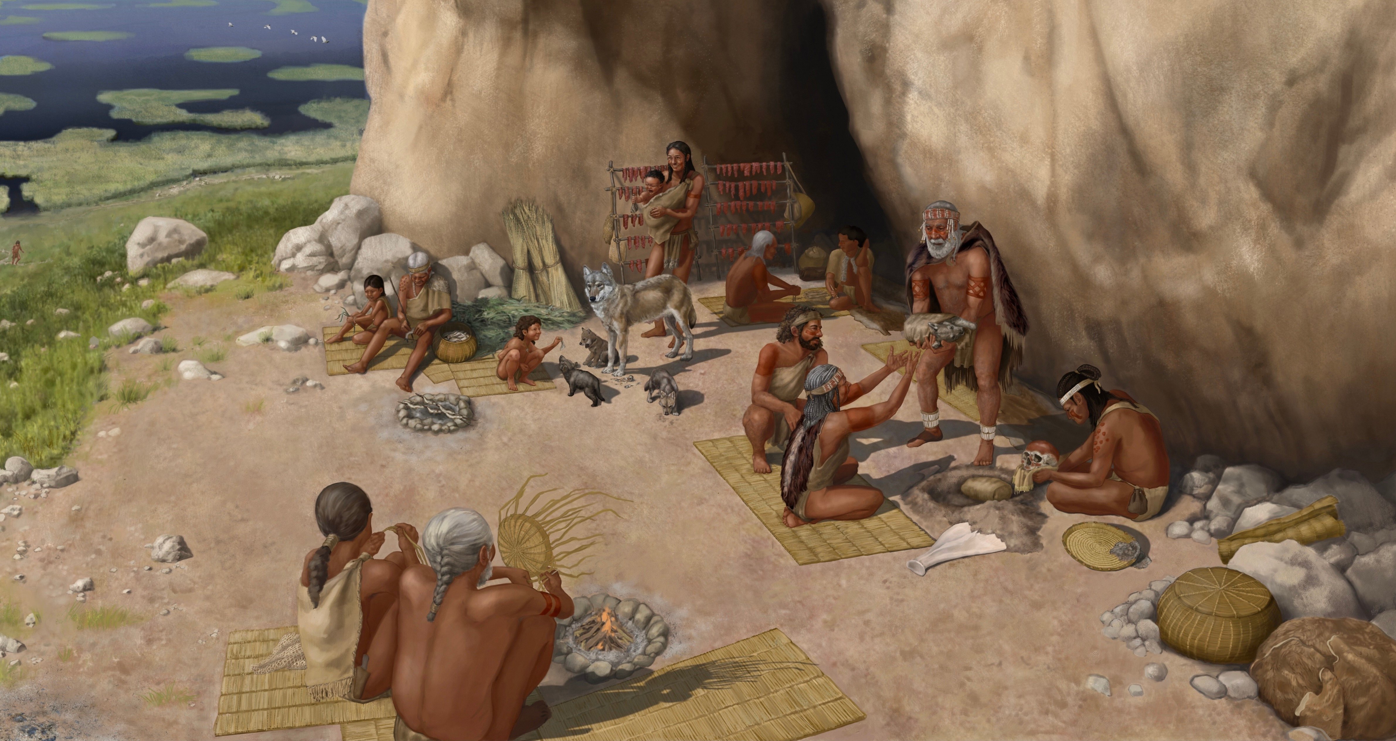 Oldest genetic evidence for domestic dogs identified in Europe and Türkiye