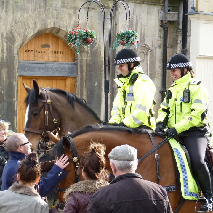 Mounted police units in neighbourhoods ‘boost public trust