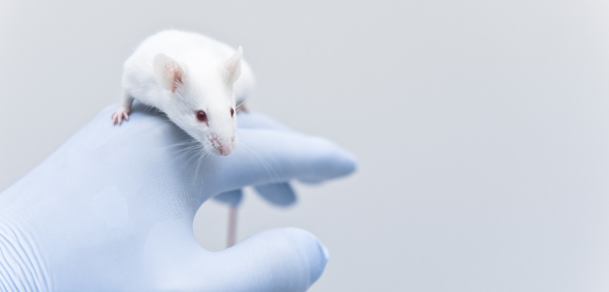 Top ten universities for animal research announced | University of Oxford