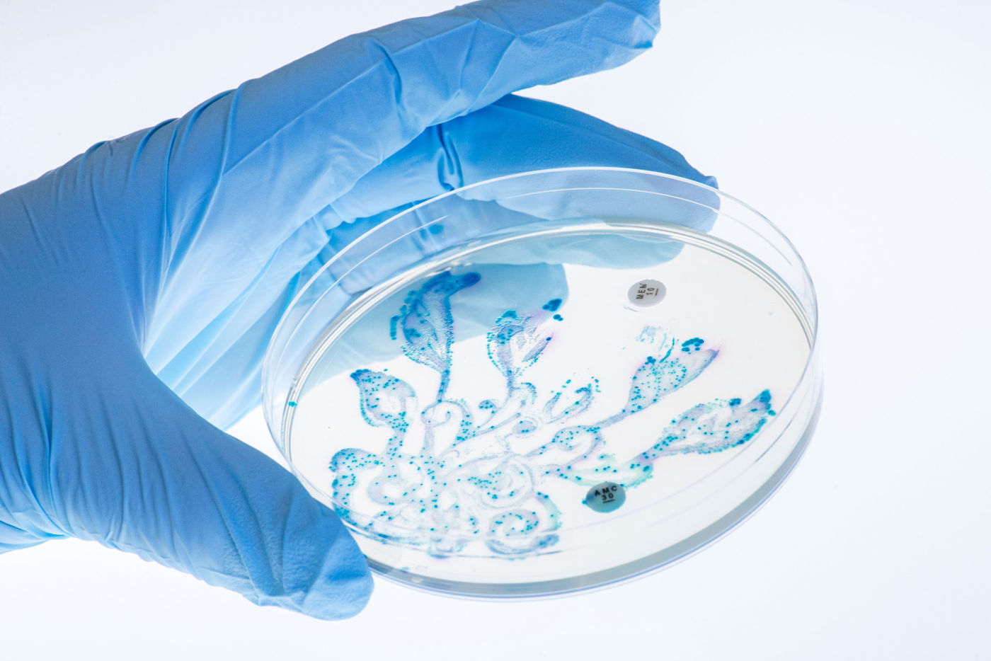 Microbe artwork shows the limits of antibiotics