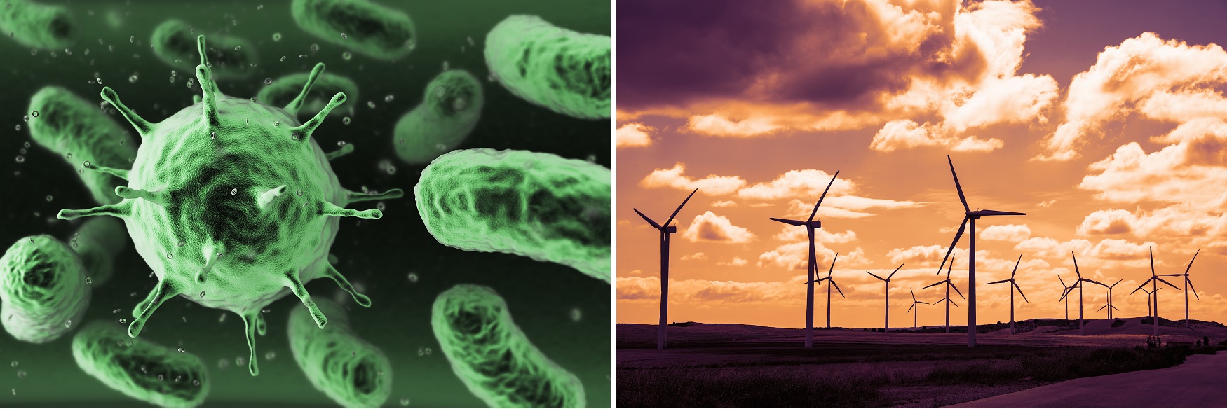 Scientists simulate tiny bacteria-powered 'windfarm'