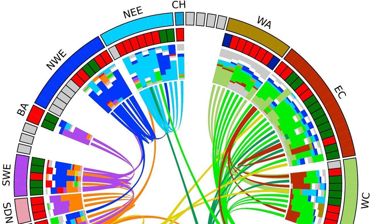 Genetic history maps centuries of European migration