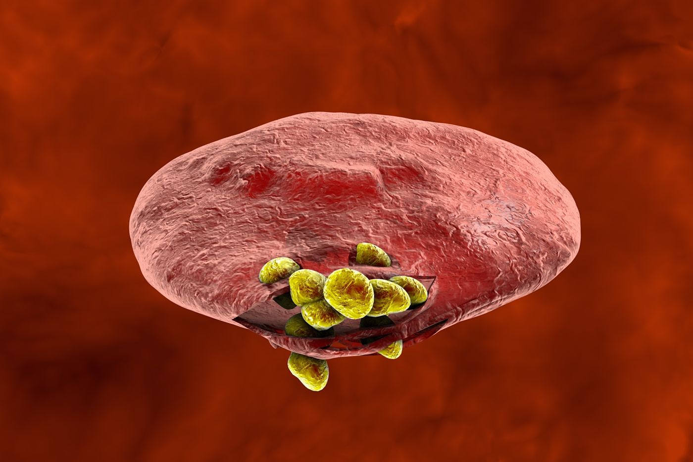 Genes that protect African children from developing malaria identified