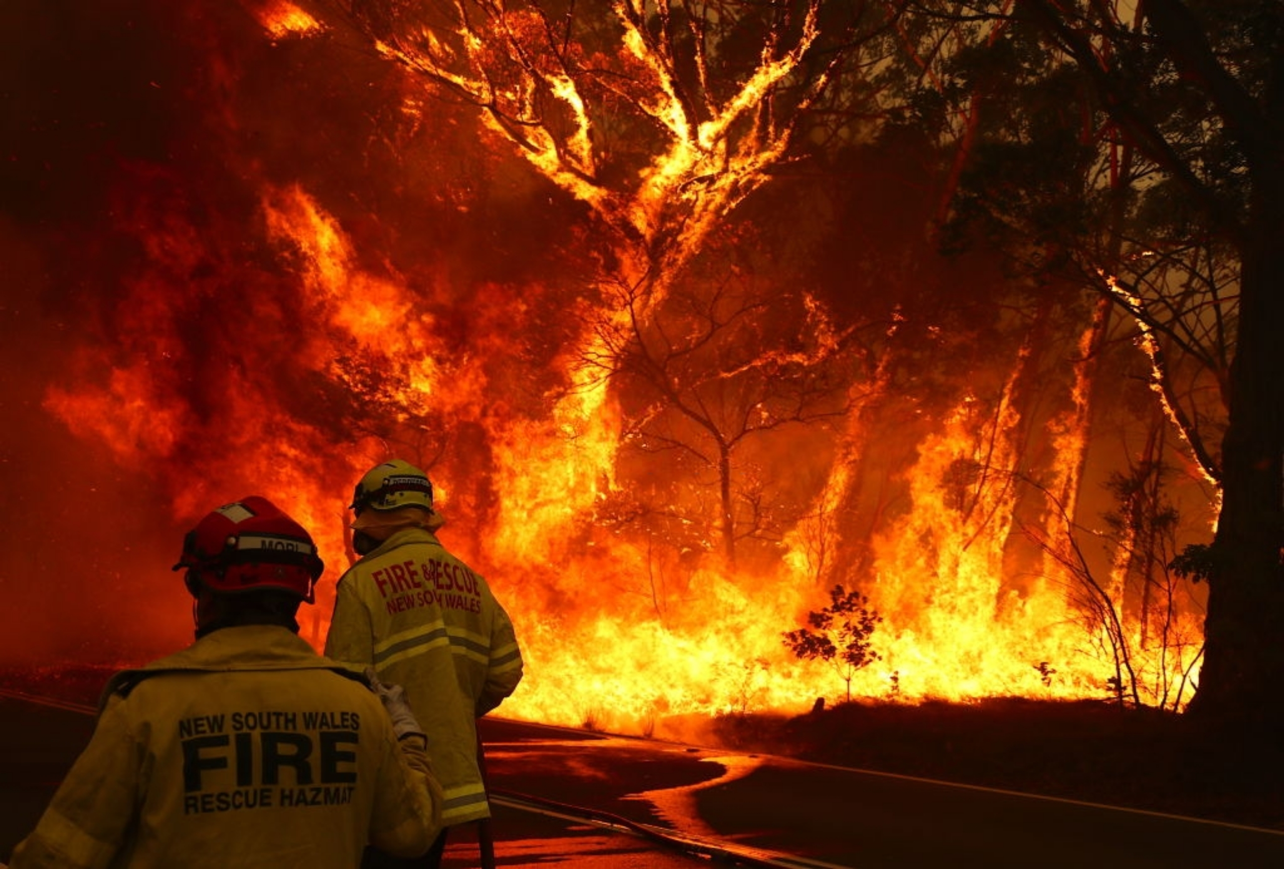 Bushfire Risk