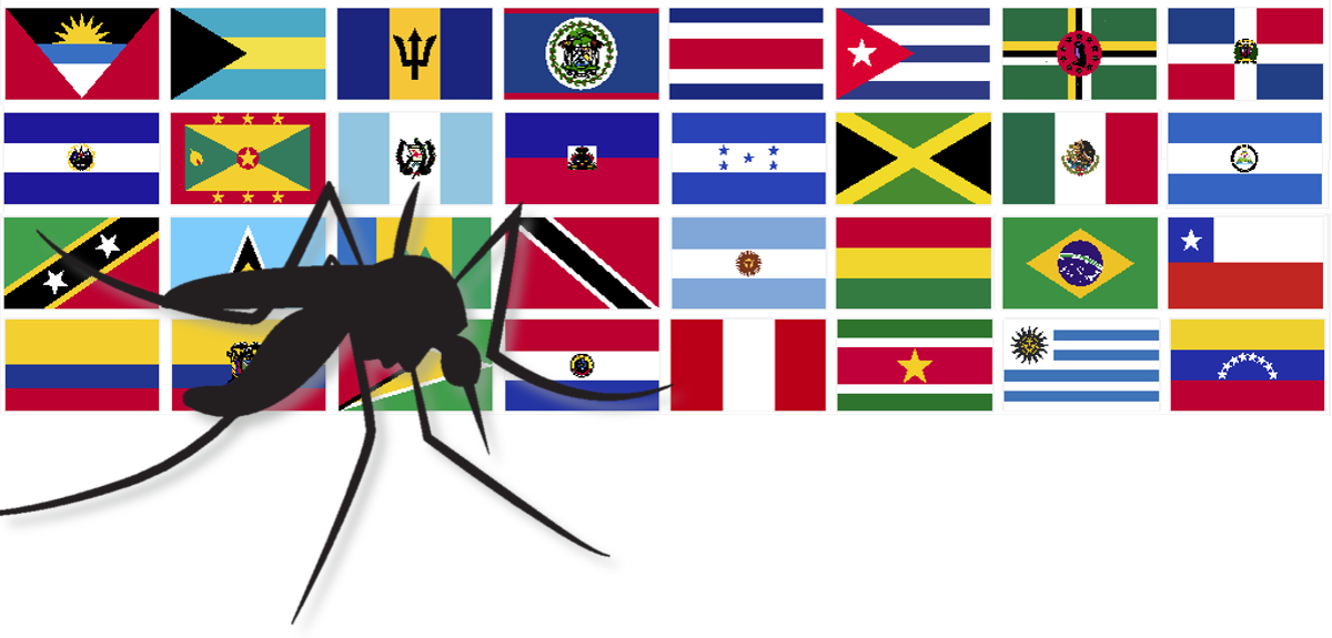 Where next for the Zika virus? 