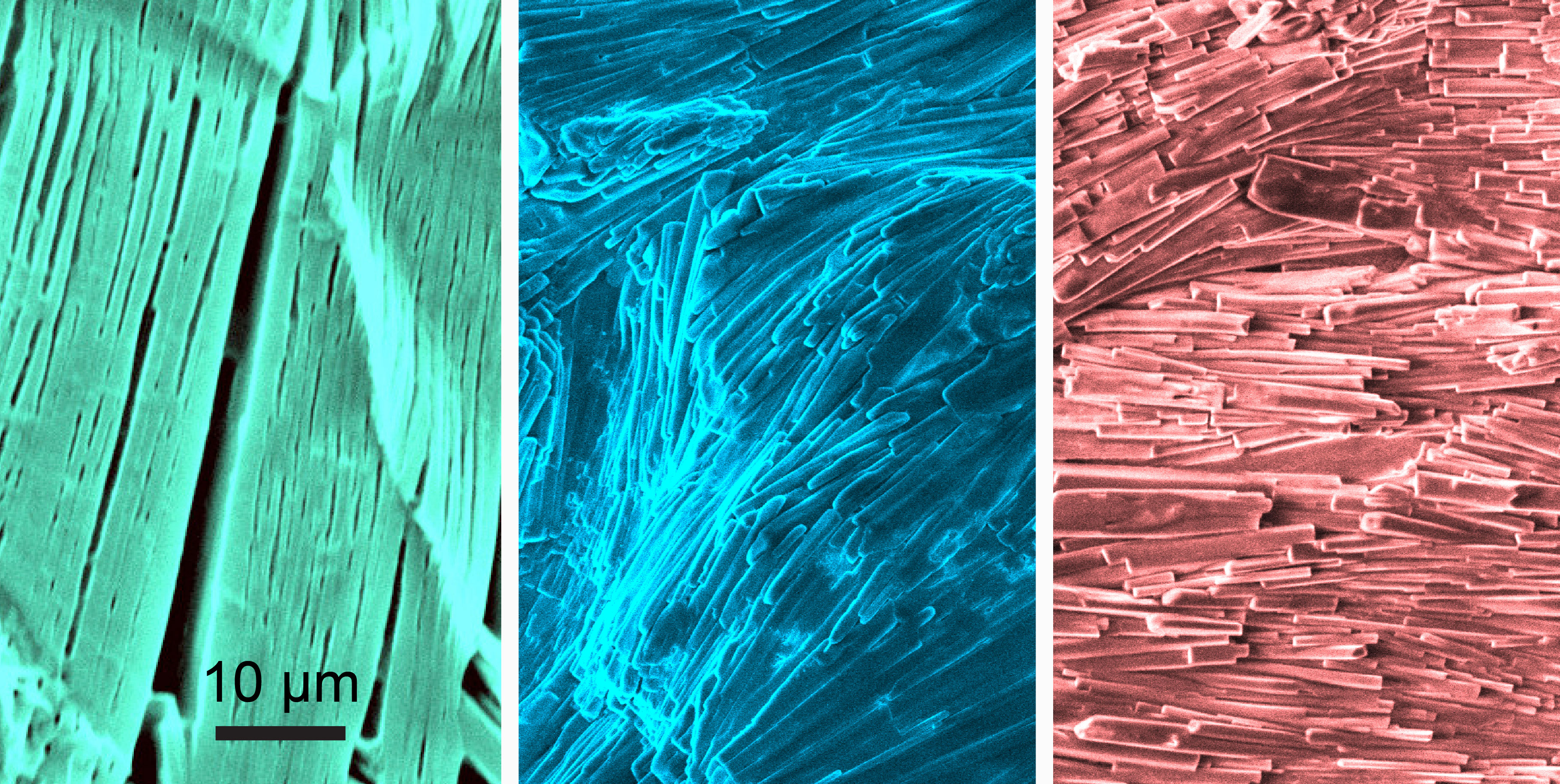 SEM images (false colour) depicting the intricate gel fibre architecture