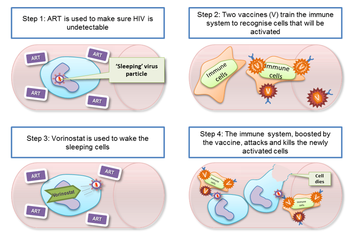 Explanation of the treatment in the RIVER trial