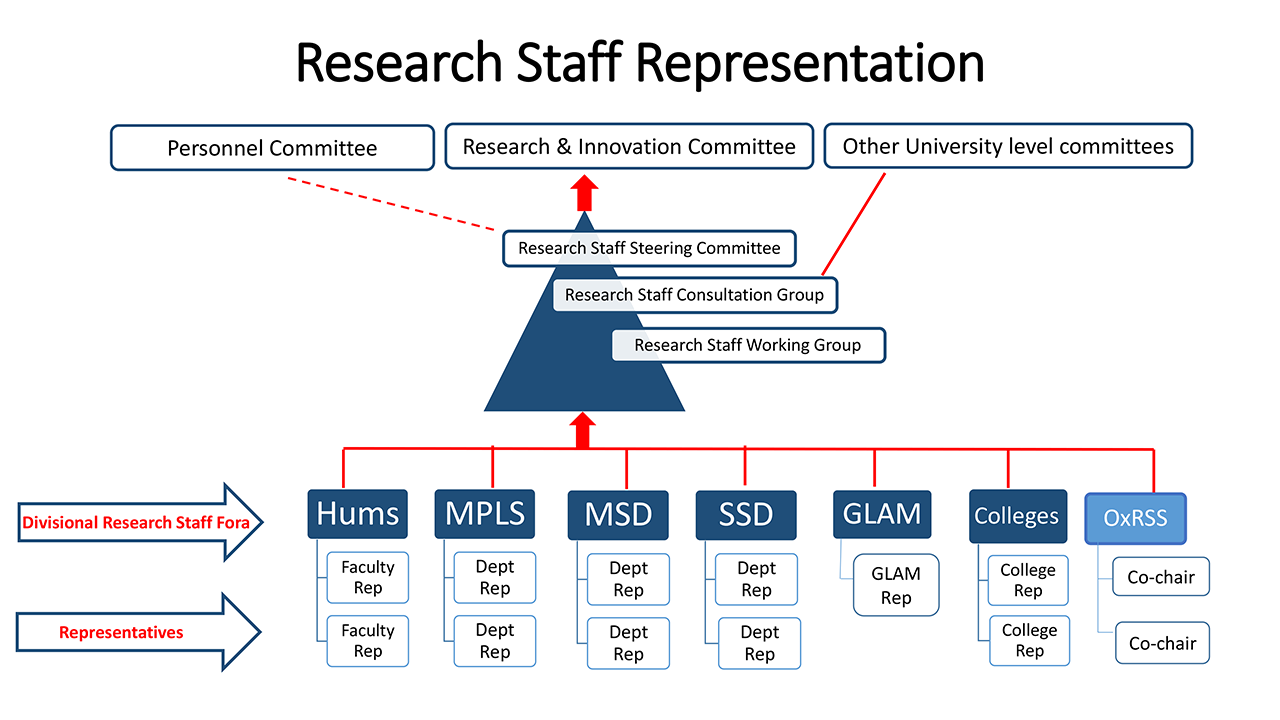 Research Staff Representation graphic
