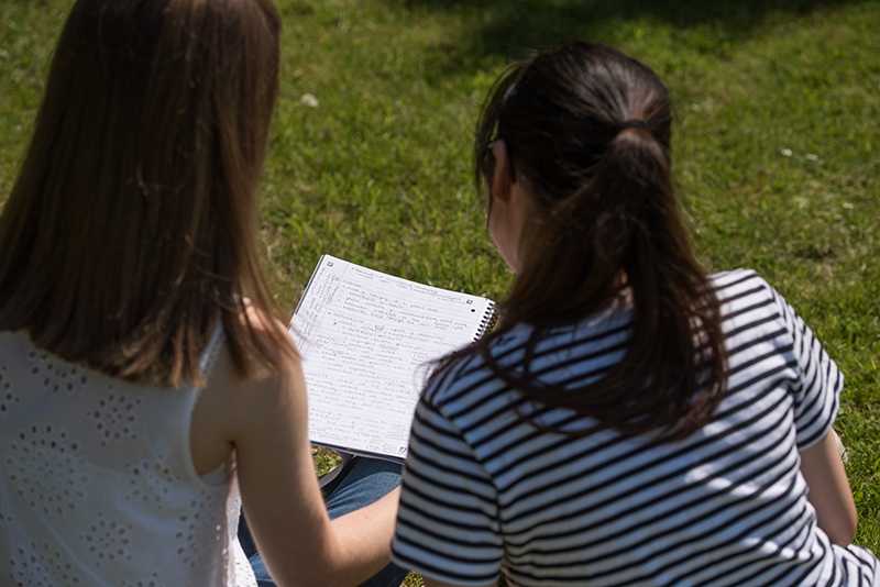 students reading in the park