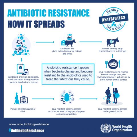 Inforgraphic - Antibiotic resistance: how it spreads