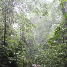site of Batadomba-lena in Sri Lanka, where the oldest 20,000 year old teeth were discovered.