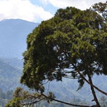The landscape of Papua New Guinea (credit: eGuide Travel, Flickr)