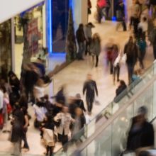 Shoppers seek to either 'avoid risk' or 'maximise pleasure'.