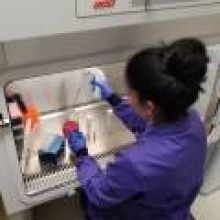 Pavandeep using a pipette in a lab