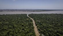 Amazon river emerges from the forest with an urban centre in the background. Credit: Anderson Coelho, Getty Images