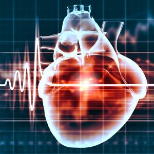 Human heart and cardiogram