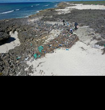 Plastic debris on Aldabra Atoll, a remote coral island and UNESCO World Heritage Site in the southwestern Seychelles, photographed as part of the Aldabra Clean-Up Project. Image credit: Seychelles Islands Foundation (SIF).