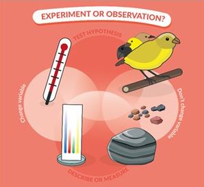 experiment or observation graphic