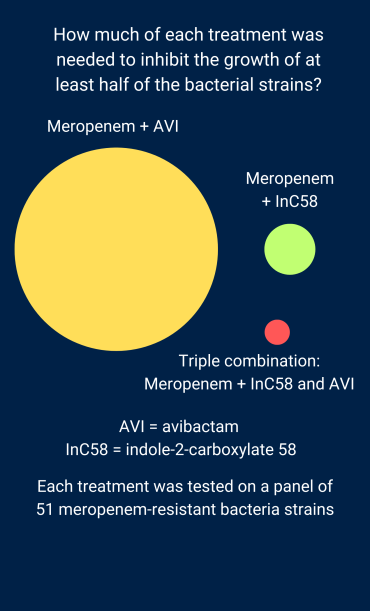 Diagram using circles to illustrate the minimum inhibitory concentrations. The circle to illustrate the combination of meropenem + InC58 + AVI has an area 4 times smaller than meropenem + InC58, and 64 times smaller than meropenem + AVI.
