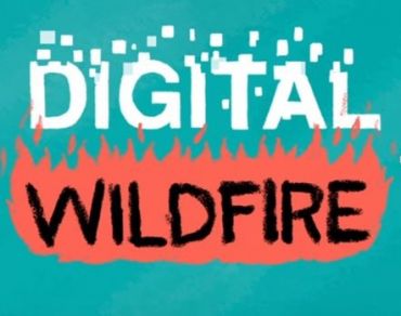 Turquoise background with white text "DIGITAL" and black text "WILDFIRE" on fire