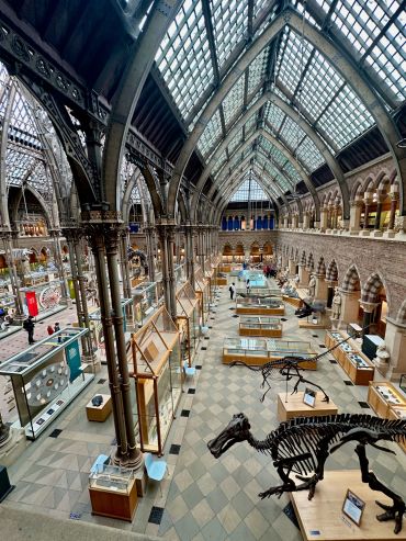 Oxford University's Museum of Natural History