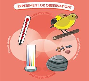experiment or observation graphic