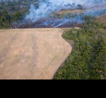 Aerial view of fire burning the Amazon rainforest to make land for agriculture and cattle pasture in Para, Brazil.