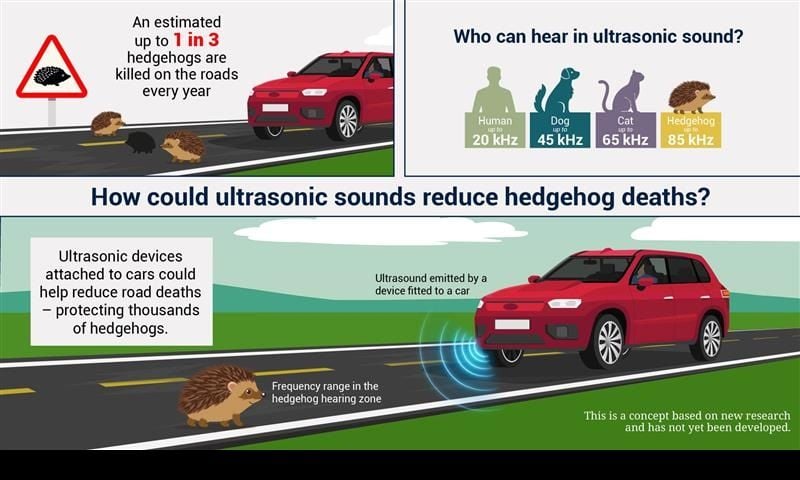 Infographic of study findings showing the hearing range of hedgehogs and how ultrasound repellers on a car could work to deter hedgehogs from roads.