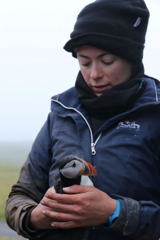 Picture of Annette Fayet holding a puffin for Find an Expert
