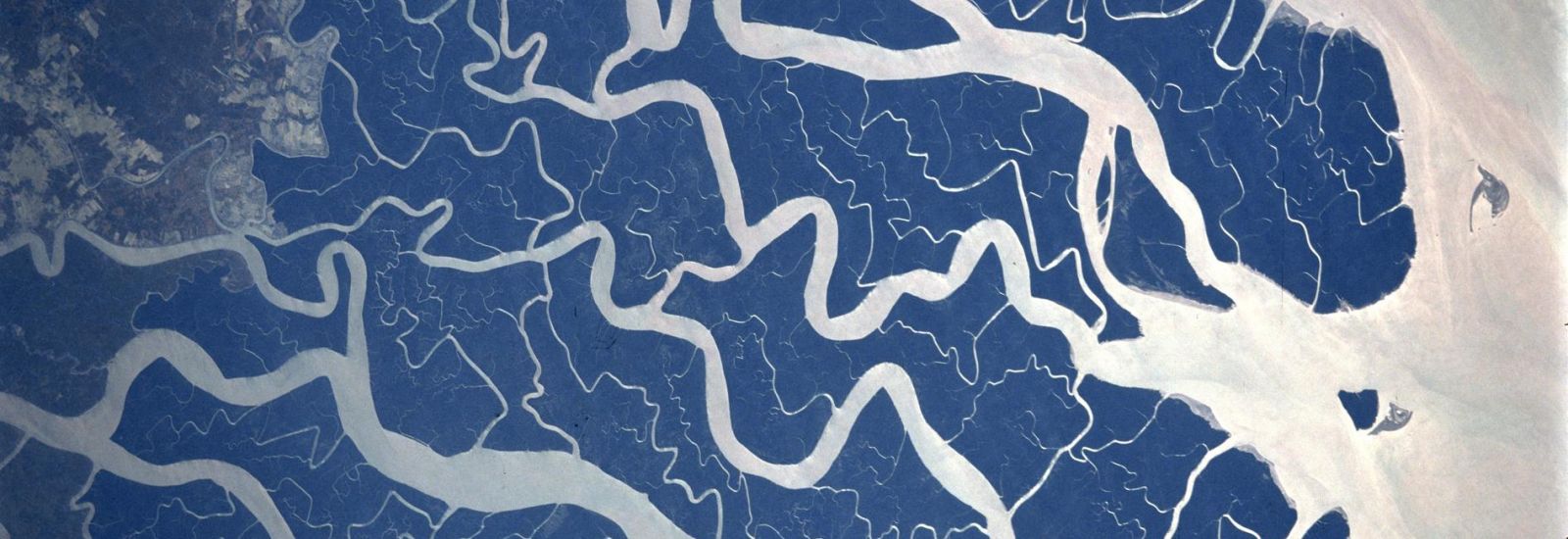 Satellite image of Ganges River delta showing tributaries branching off into landmass