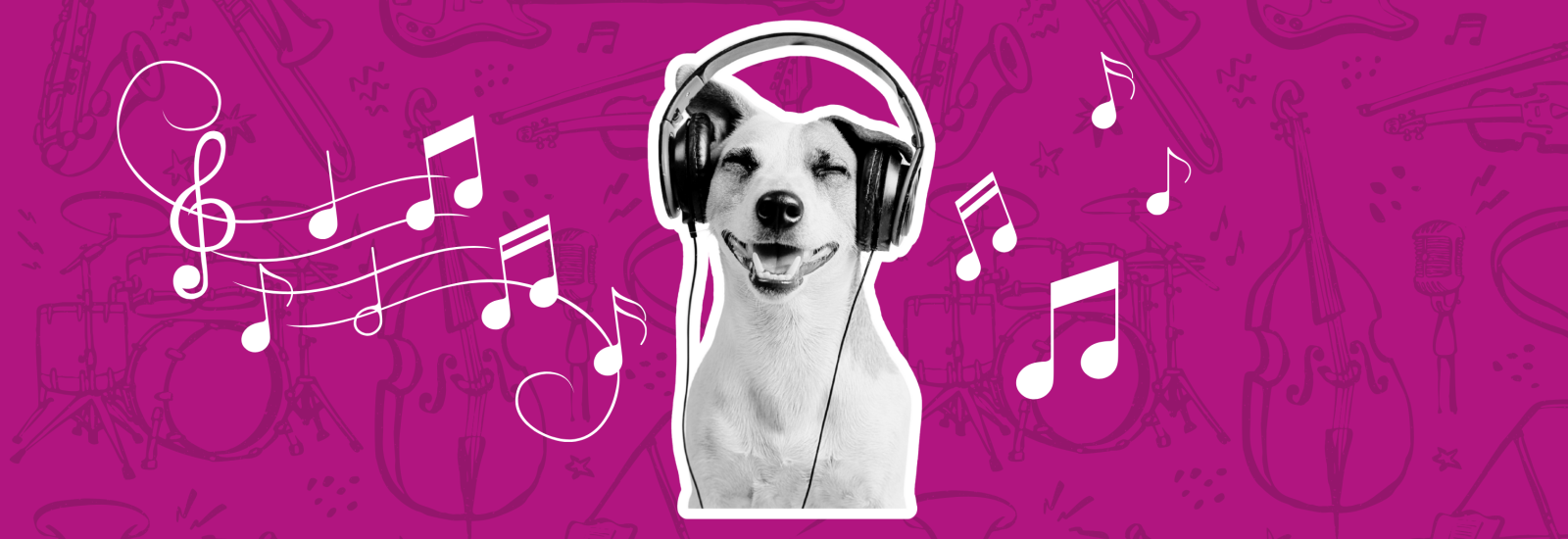 musical dog