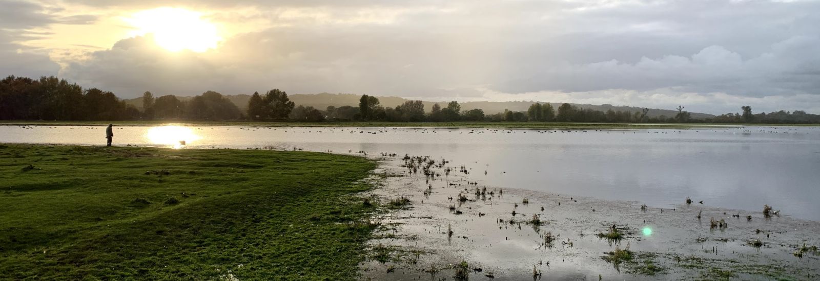 Someone standing on a flooded Port Meadow