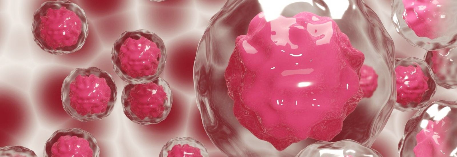 Visualisation of pink coloured stem cells