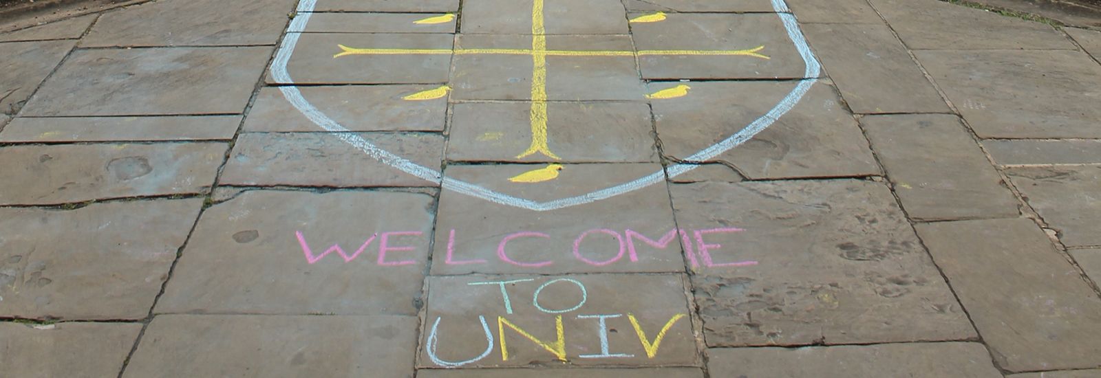 Welcome to University College graffiti