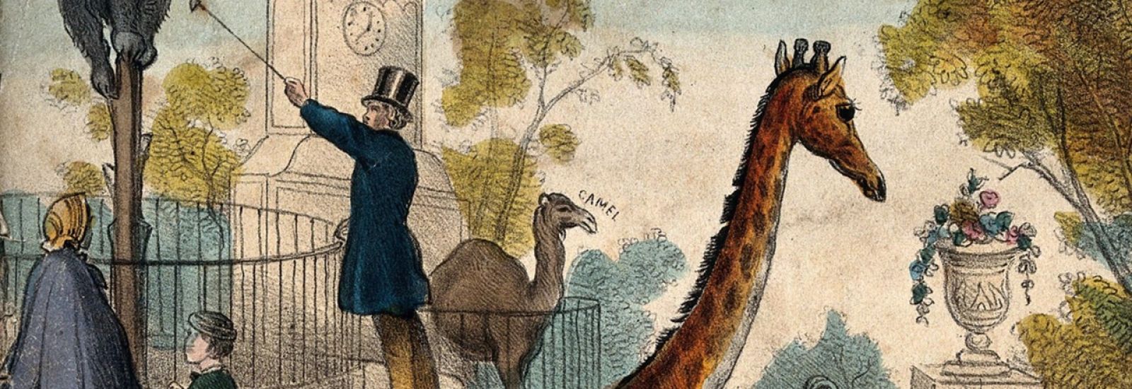 Coloured lithograph of 19th century zoo, with a giraffe in the foreground and a top-hatted man baiting a bear on a pole behind. Watching him are a woman and child with their backs to us.