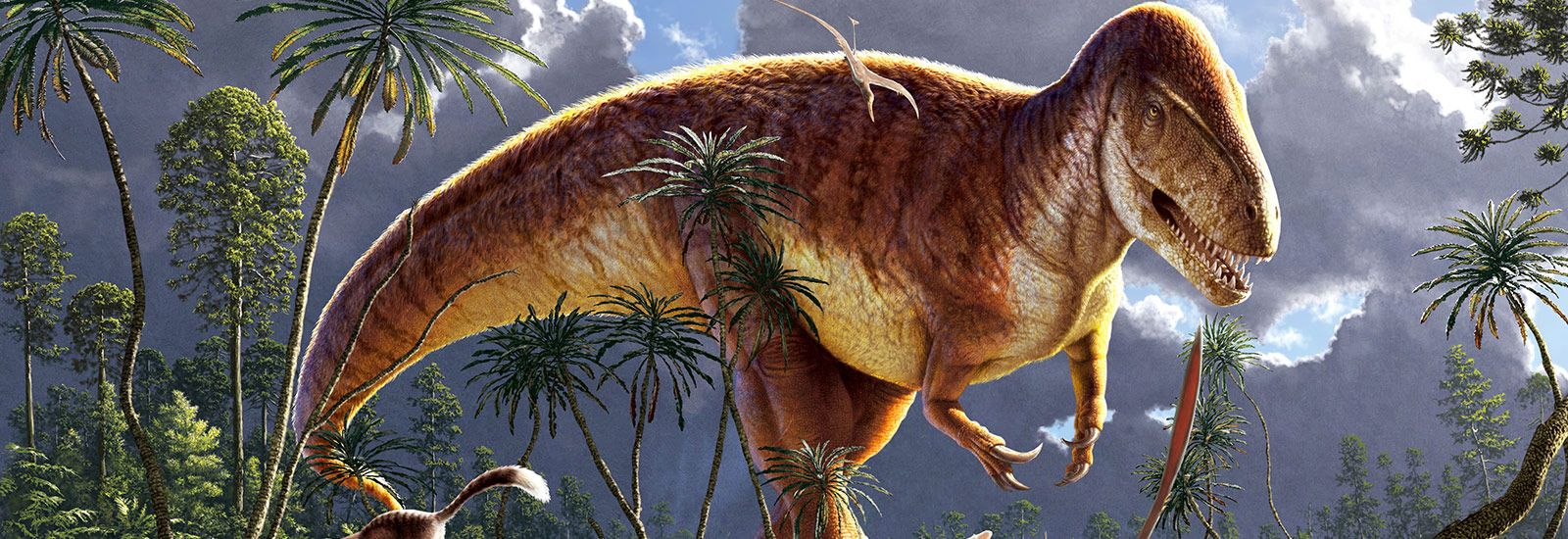 Artist's impression of a Megalosaurus
