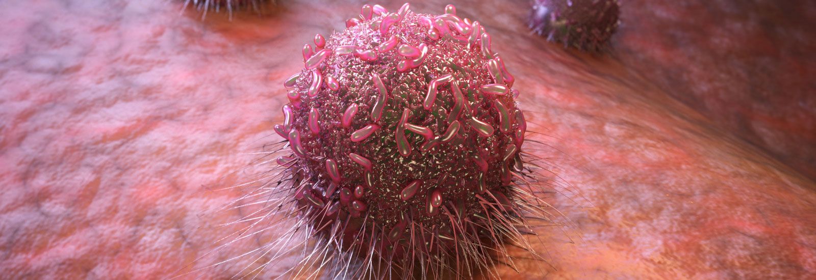3D rendering of a cancer cell