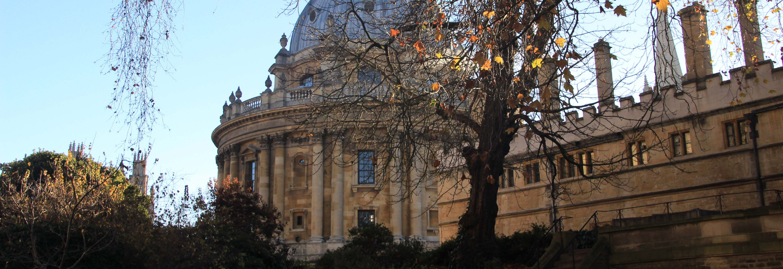 The Radcliffe Camera viewed from Exeter College gardens