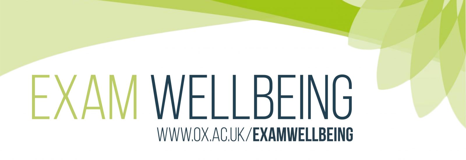 exam wellbeing