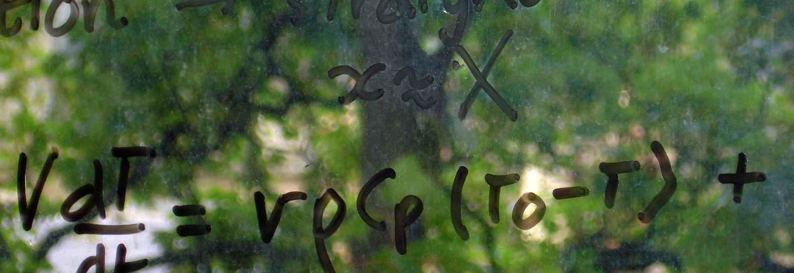 Maths formulae written on glass with trees behind
