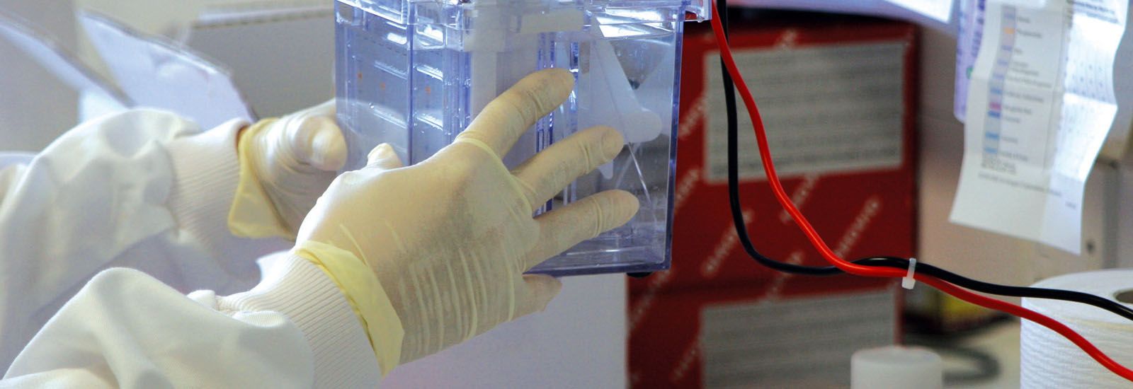 Close up of a student in a lab holding a box