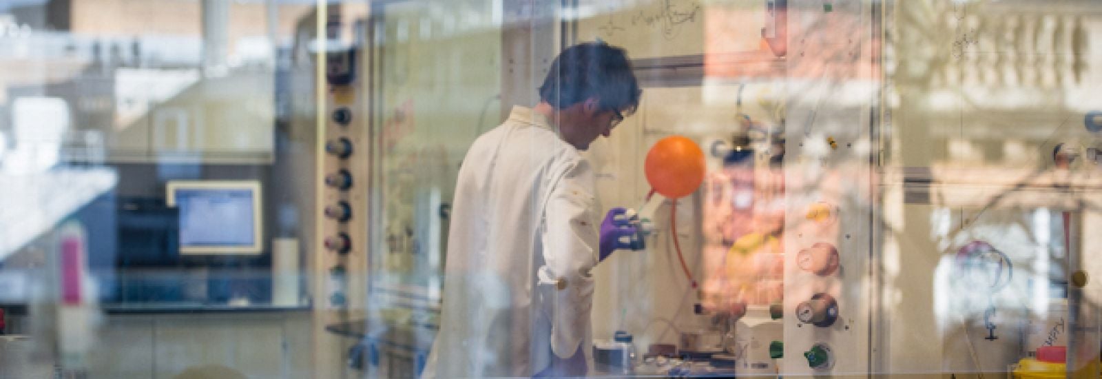 Student working within a lab
