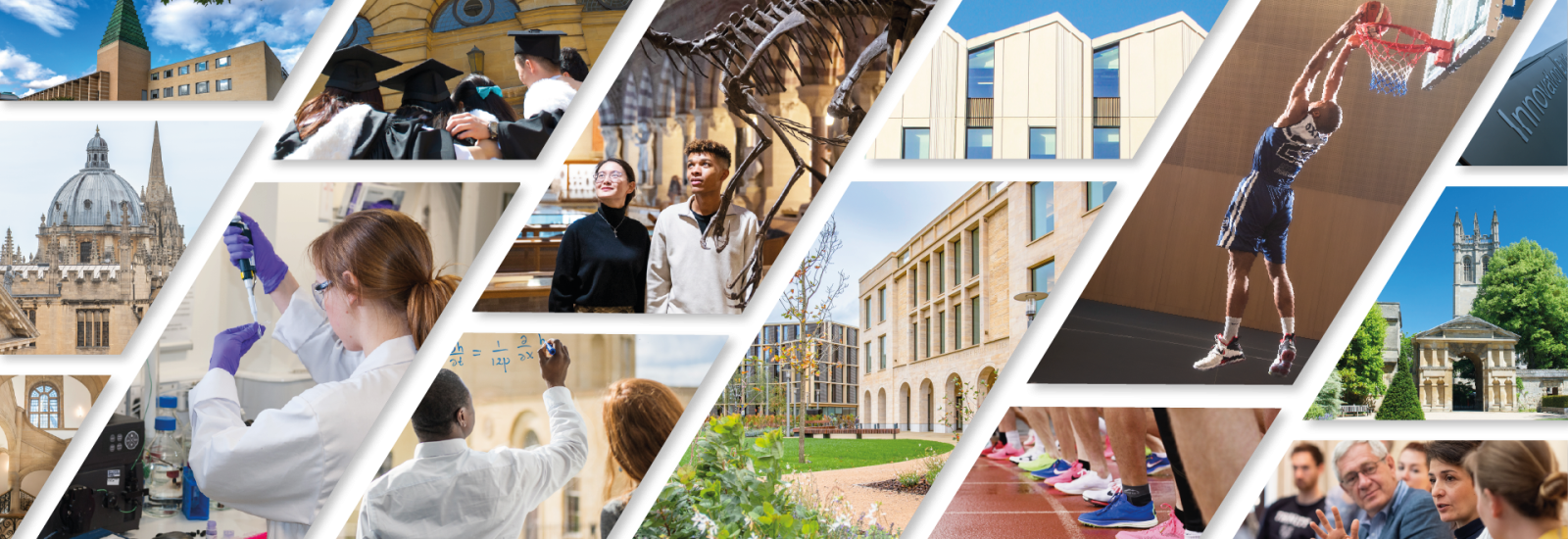 a montage of images including the Radcliffe Camera, researchers in labs, a basketball player and students