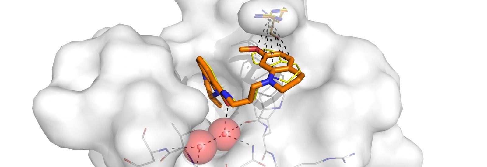 A CGI model of an X-ray crystal structure of a small molecule ligand